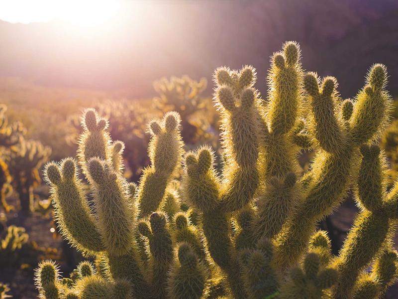 Aut consequuntur voluptate ut atque eaque accusamus.